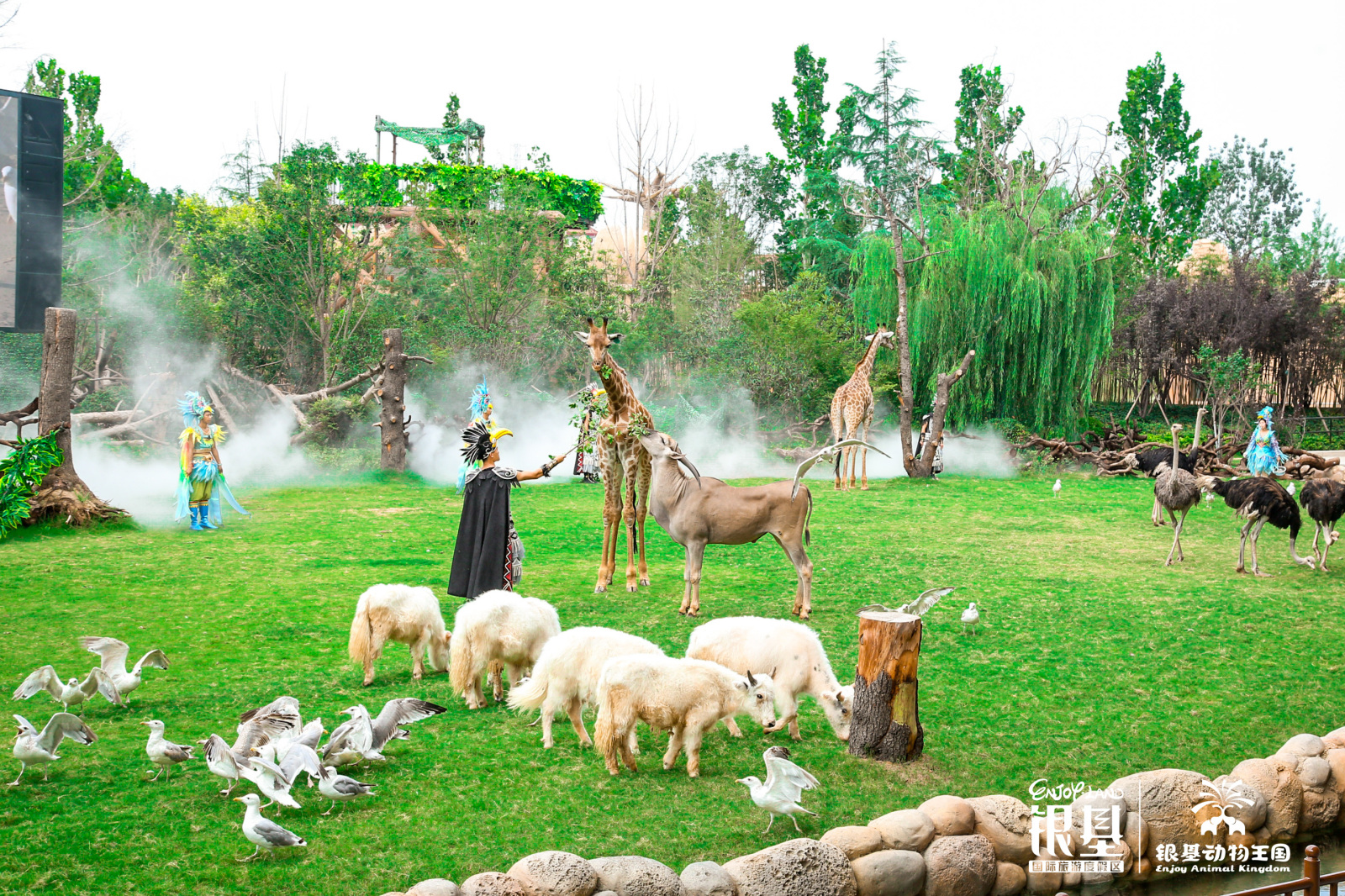 银基动物王国正式开园打造中部旅游新名片