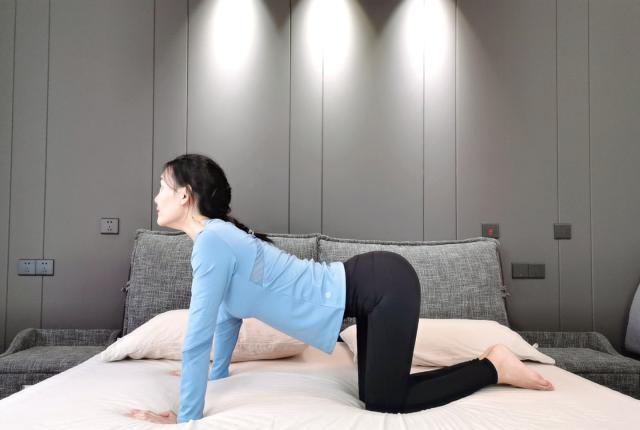 女子学自家猫咪练习瑜伽动作,正在舔毛的猫咪一脸懵圈休闲区蓝鸢梦想 - Www.slyday.coM 女子学自家猫咪练习瑜伽动作,正在舔毛的猫咪一脸懵圈休闲区蓝鸢梦想 - Www.slyday.coM