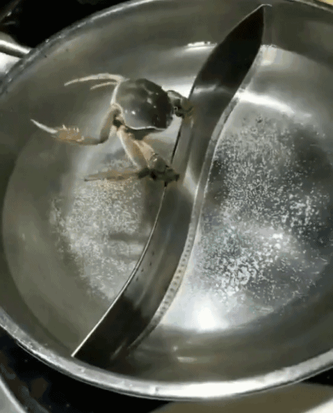 479_594竖版 竖屏gif 动态图 动图