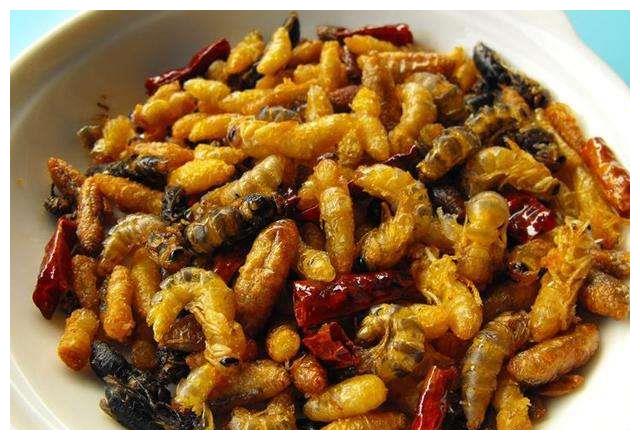 没有见识过云南昆虫宴的人生是不完整的,带你看看都有哪些昆虫