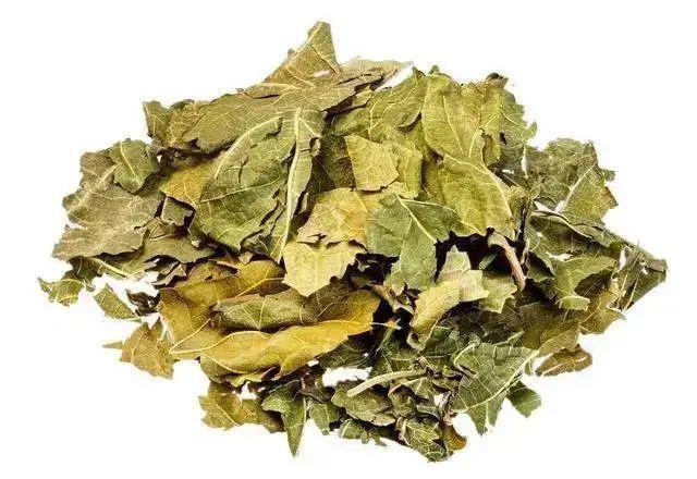 9岁女孩，查出糖尿病，得知原因后，母亲痛哭：都是我害了你休闲区蓝鸢梦想 - Www.slyday.coM