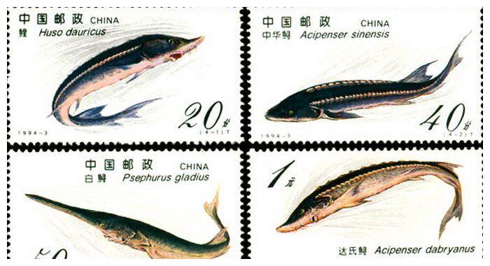 被刻写在邮票上的11种已灭绝动物,我国白鲟在内,还有阿根廷巨鹰