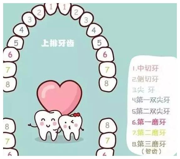 世界各地各有特色|上牙|牙齿|房顶_新浪新闻