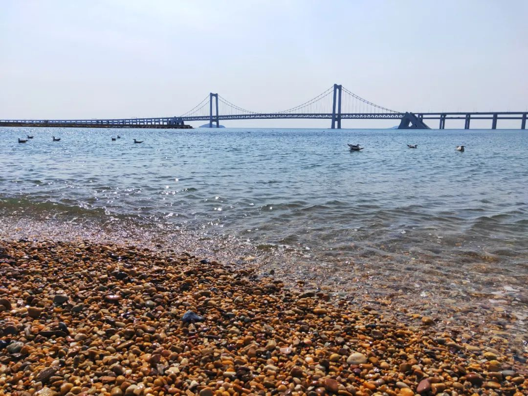 摘选自网络星海公园万花缤纷,千树交错,鹅卵石铺成条条甬道,将棋乐亭