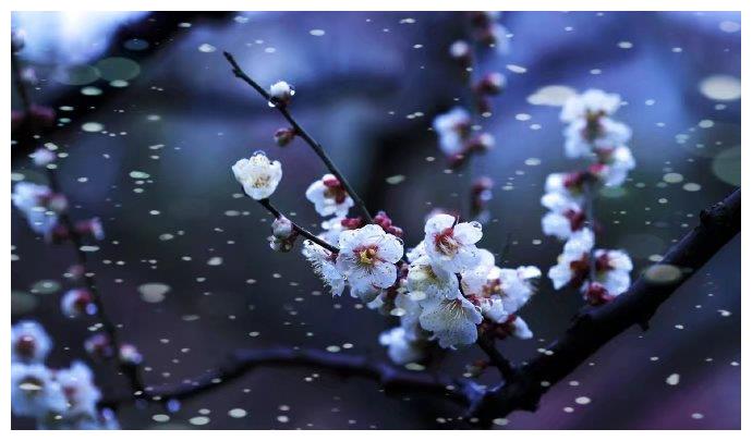 冯延巳一首鹊踏枝,幽深哀婉,句句凄美