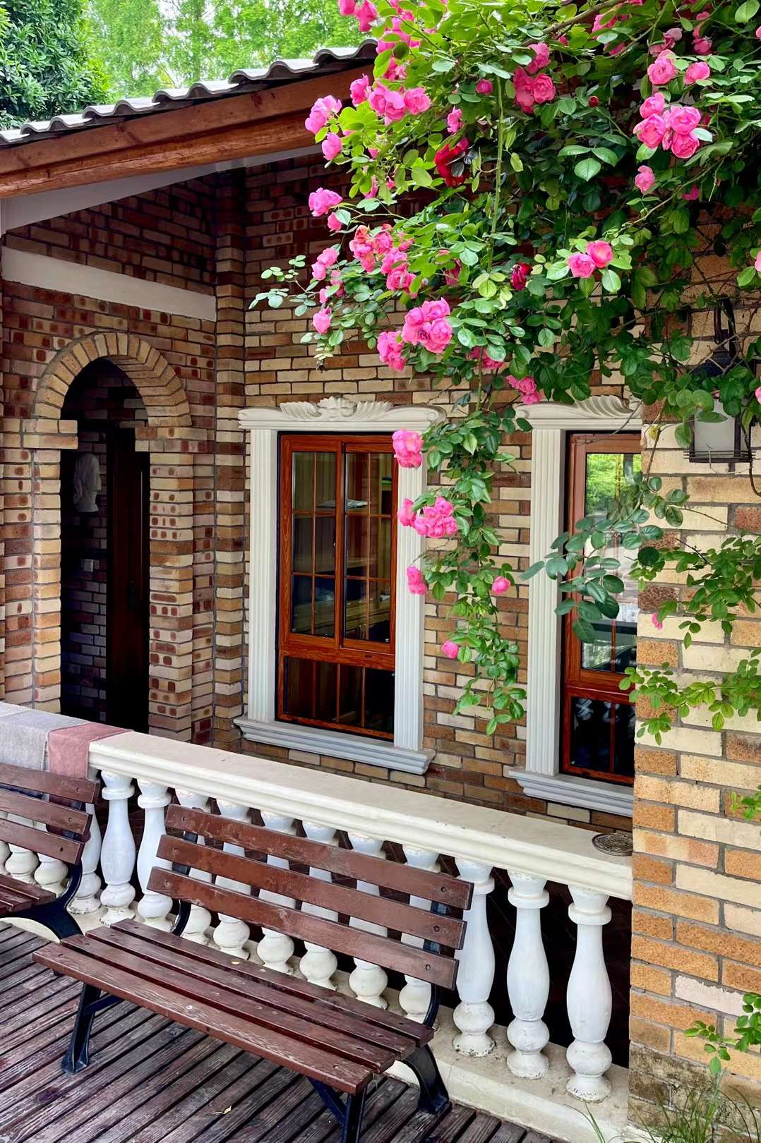 玫瑰 蔷薇 月季(武汉市新洲区香草伊甸园)