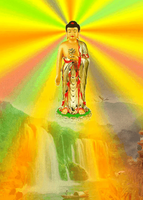 458_640竖版 竖屏gif 动态图 动图