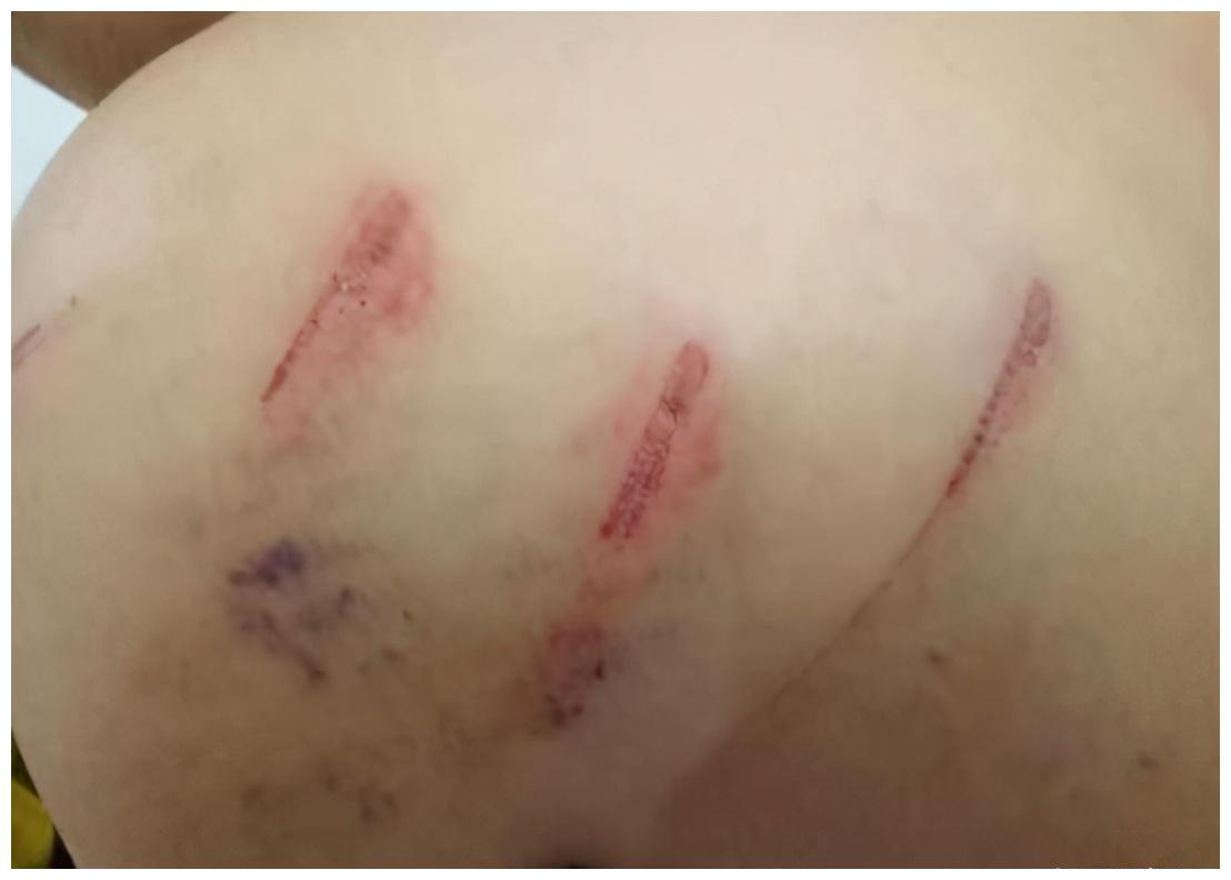 男方家暴嗜赌,女方5年4次起诉离婚,不料被法院一一驳回休闲区蓝鸢梦想 - Www.slyday.coM 男方家暴嗜赌,女方5年4次起诉离婚,不料被法院一一驳回休闲区蓝鸢梦想 - Www.slyday.coM