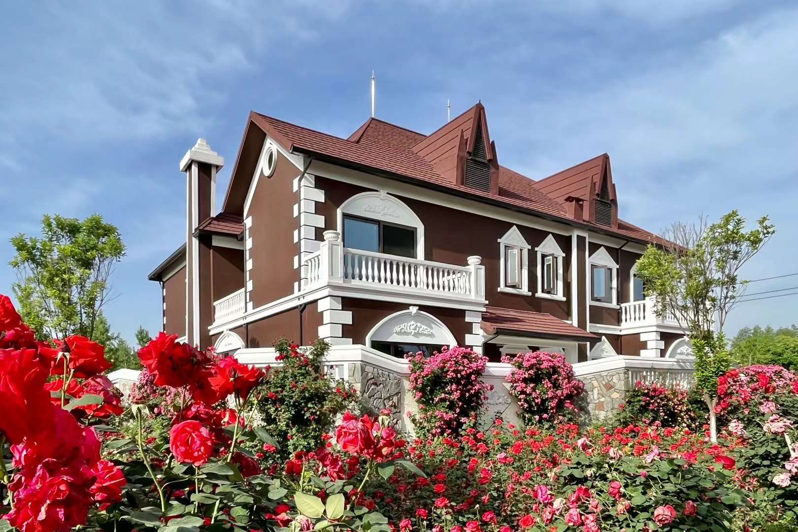 玫瑰 蔷薇 月季(武汉市新洲区香草伊甸园)