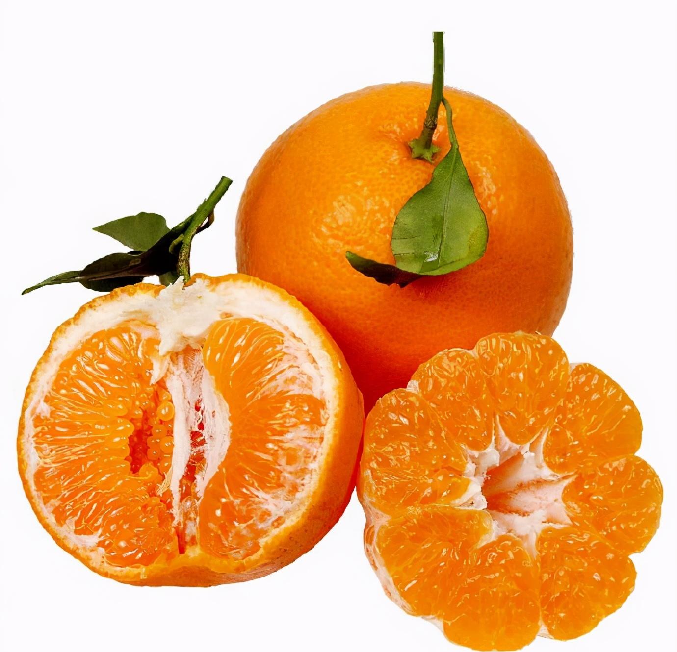 橙子 桔子 柑子 柑子 橙子 桔子 新浪新闻