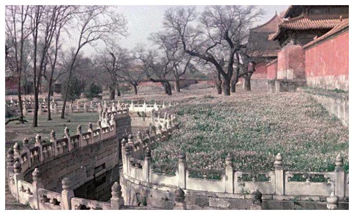 老照片:1949年北平解放时的故宫紫禁城|御花园|故宫|紫禁城_新浪新闻