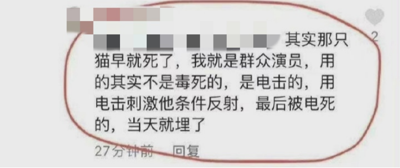 当家主母剧组报案！否认剧中猫咪被电死，并发布小猫回家视频休闲区蓝鸢梦想 - Www.slyday.coM