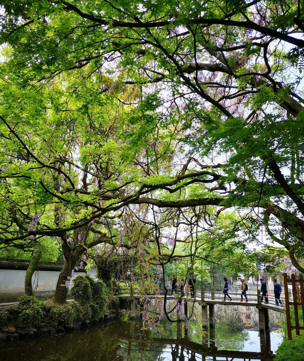 湖州一座精致园林,面积27亩,是一位首富因羡慕别人庄园而建