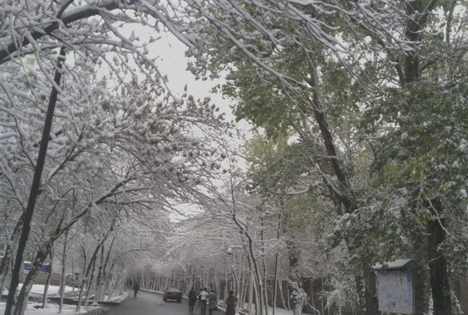 乌鲁木齐的雪风情万种 旖旎多姿 尤其雪后景色银装素裹浪漫极了