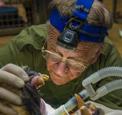 英国的一位宠物医生只能上门服务,因为他的“病人”体型太大了休闲区蓝鸢梦想 - Www.slyday.coM 英国的一位宠物医生只能上门服务,因为他的“病人”体型太大了休闲区蓝鸢梦想 - Www.slyday.coM