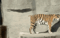 在女友的包里面找到了这样的药，请问是干什么用的啊？哈哈哈哈休闲区蓝鸢梦想 - Www.slyday.coM