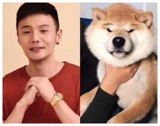 杨丞琳晒狗狗照调侃狗界李荣浩忧郁的眼神简直是神似