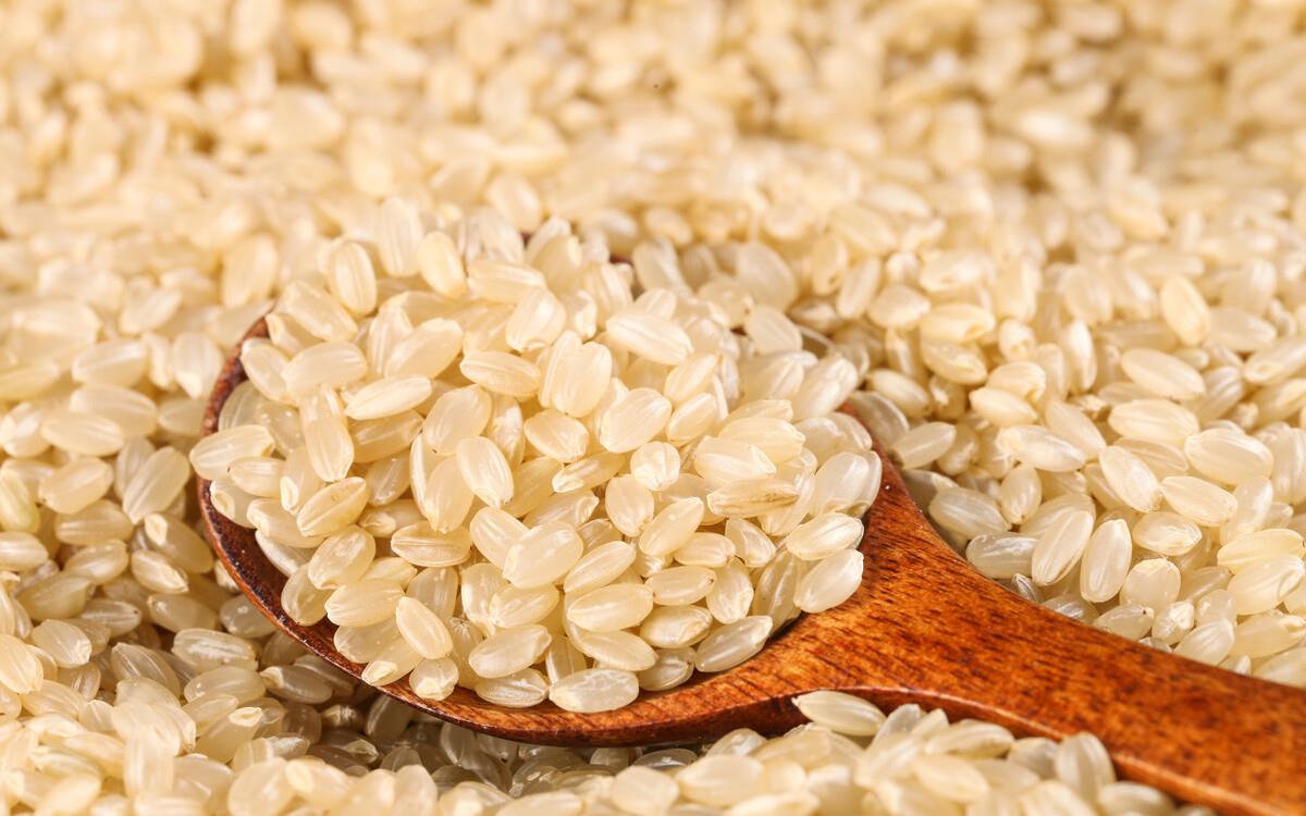 胚芽米怎么吃胚芽米怎么吃更营养更美味胚芽米吃法