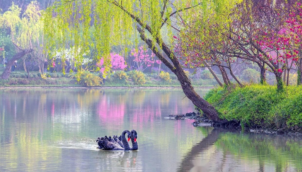 山重水复疑无路,柳暗花明又一村