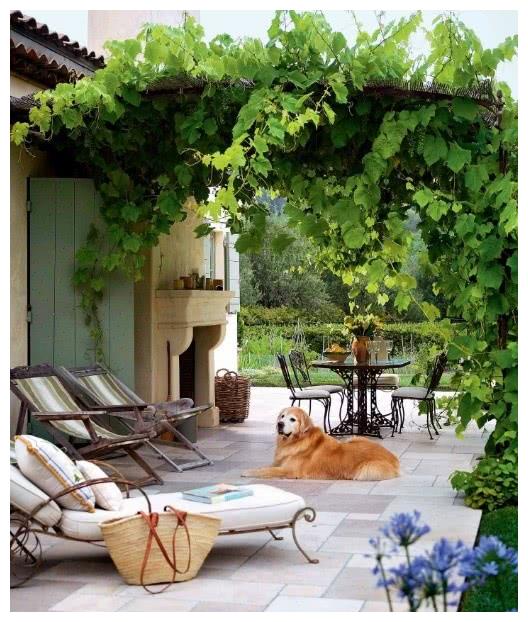 17个"花园小院"设计,久居都市,寻一方庭院和花草为伴,乐哉!