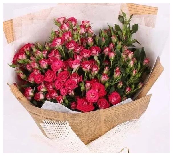 花语是暗恋的花有向日葵桔梗花蓝色妖姬白色风信子雏菊等1向日葵