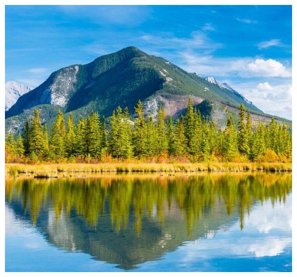 下周开始运势逆袭福多财旺生活越来越富足的4大星座