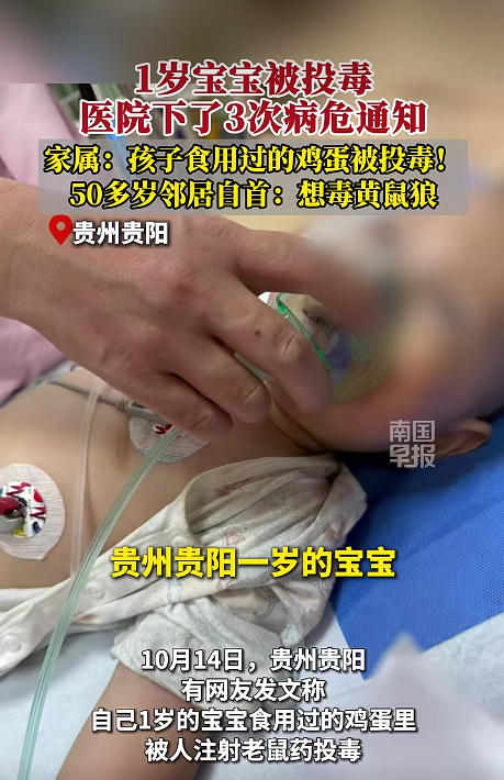 1岁宝宝食用被投毒鸡蛋,已下3次病危通知书!50岁邻居投案自首 1岁宝宝食用被投毒鸡蛋,已下3次病危通知书!50岁邻居投案自首