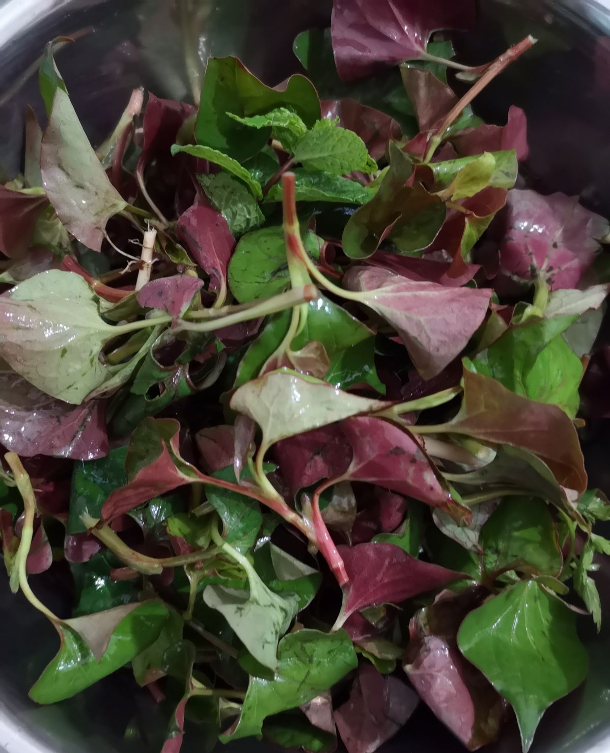 凉拌折耳根叶子,清香脆爽