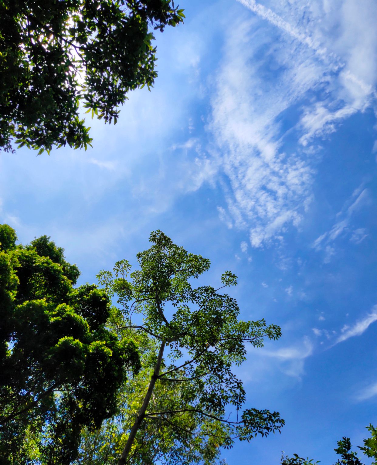 人们说的天空蓝是我记忆中那团白云背后的蓝天_高清图集_新浪网