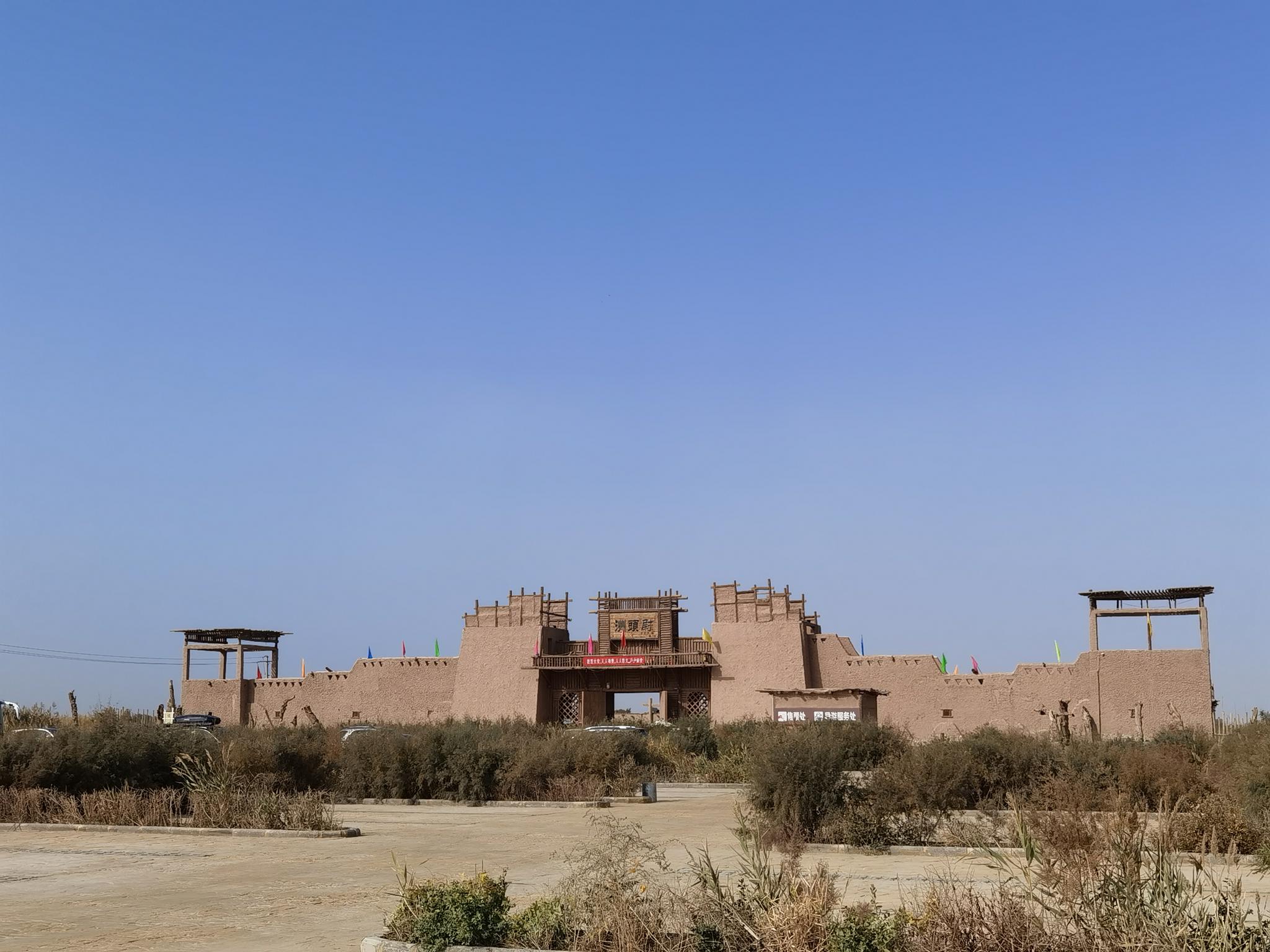 思窝甜酸甜酸mm巴楚红海湾尉头洲胡杨林景区欣赏千百年胡杨林