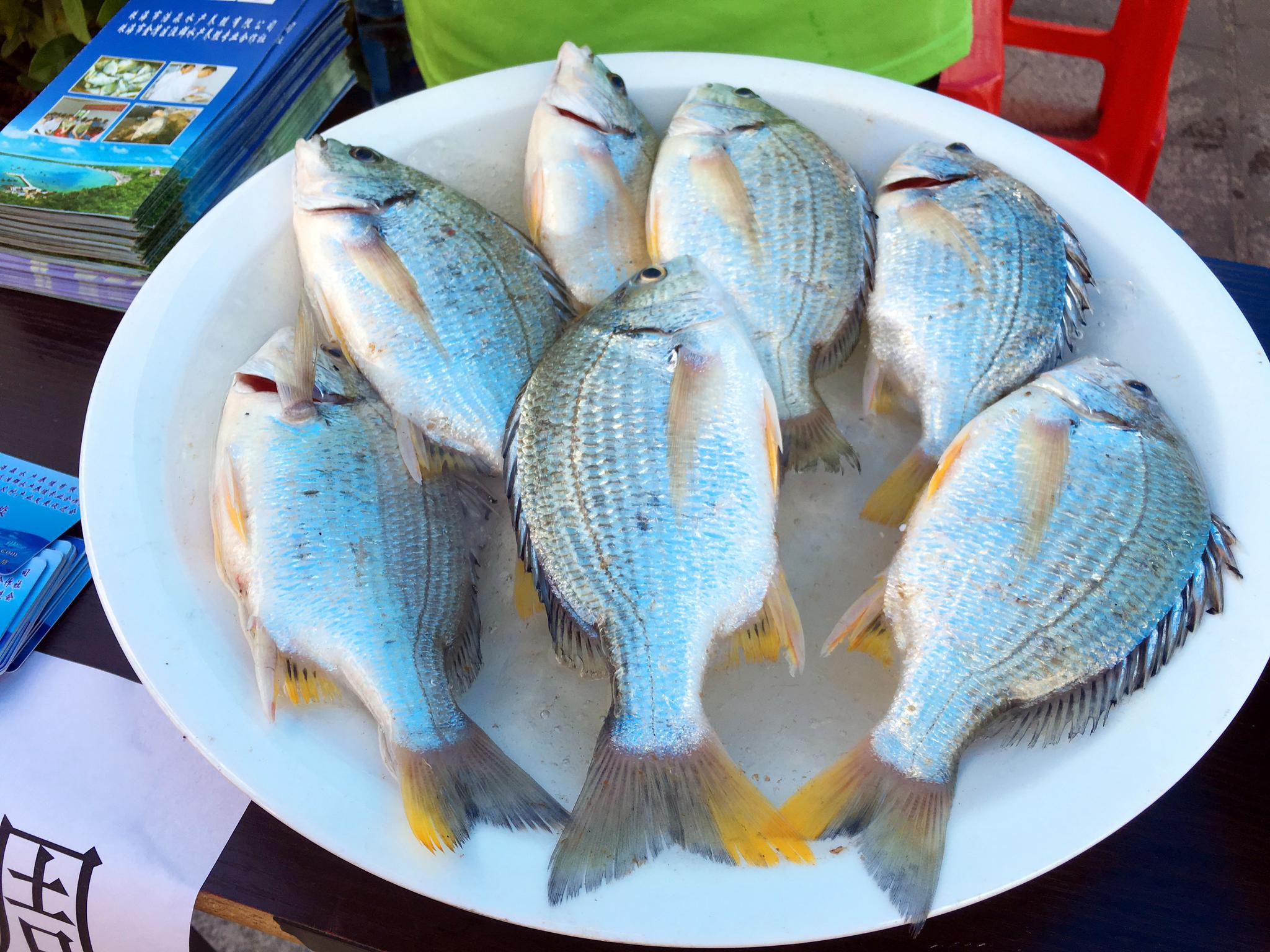 煎黄脚立鱼怎么做_煎黄脚立鱼的做法_豆果美食