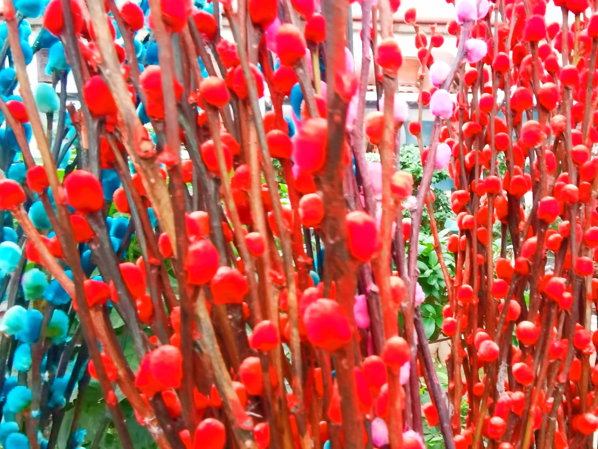 染色的银柳原创拍摄