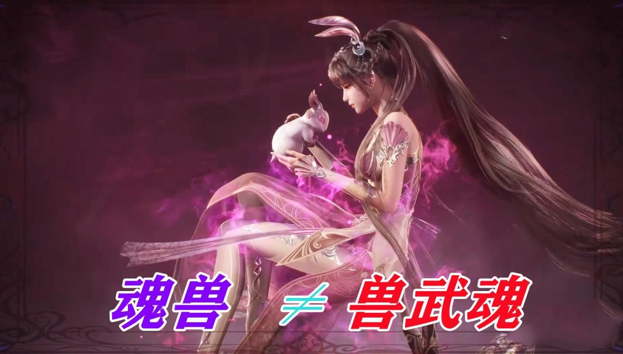 小舞的武魂竟是最差的,魂兽不适合成为魂师,柔骨兔