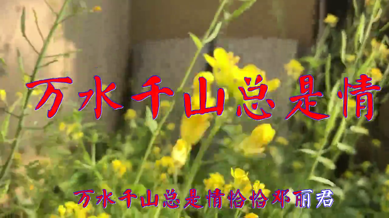 分享一首《万水千山总是情》,歌声淳朴,真情流露
