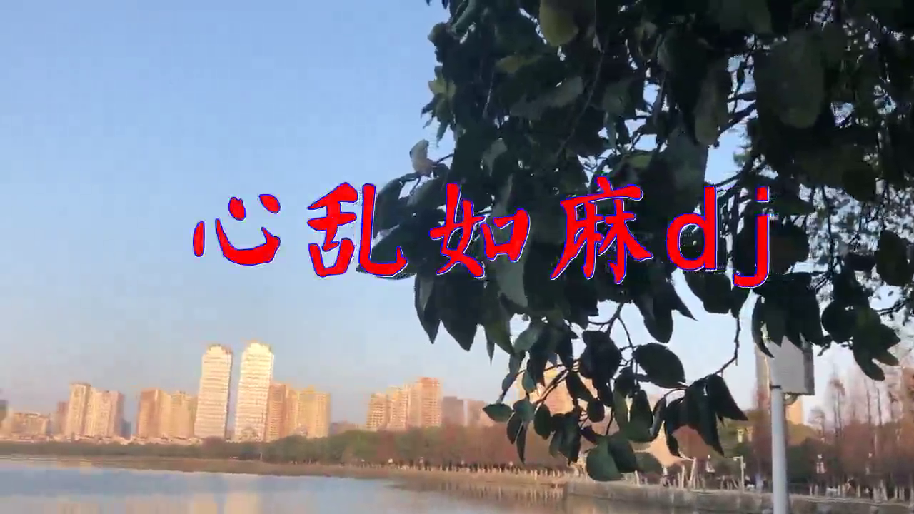 一首《心乱如麻dj》,活力十足,惊艳全场