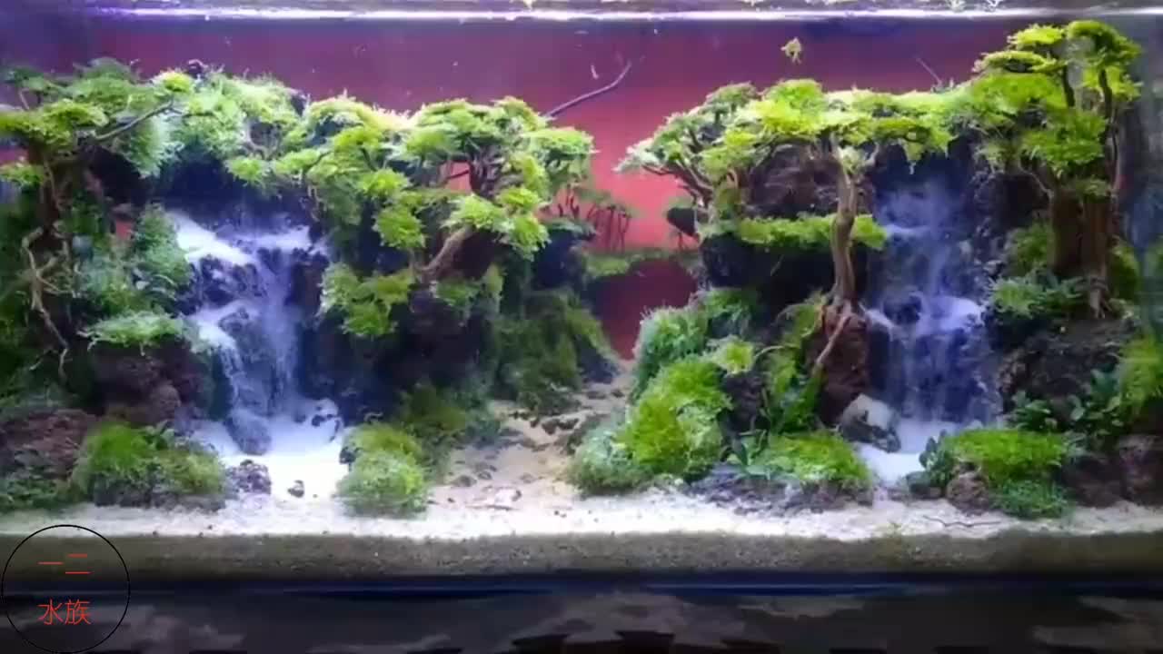 带流沙瀑布的阴性草缸不用二氧化碳不用强光水草很好养