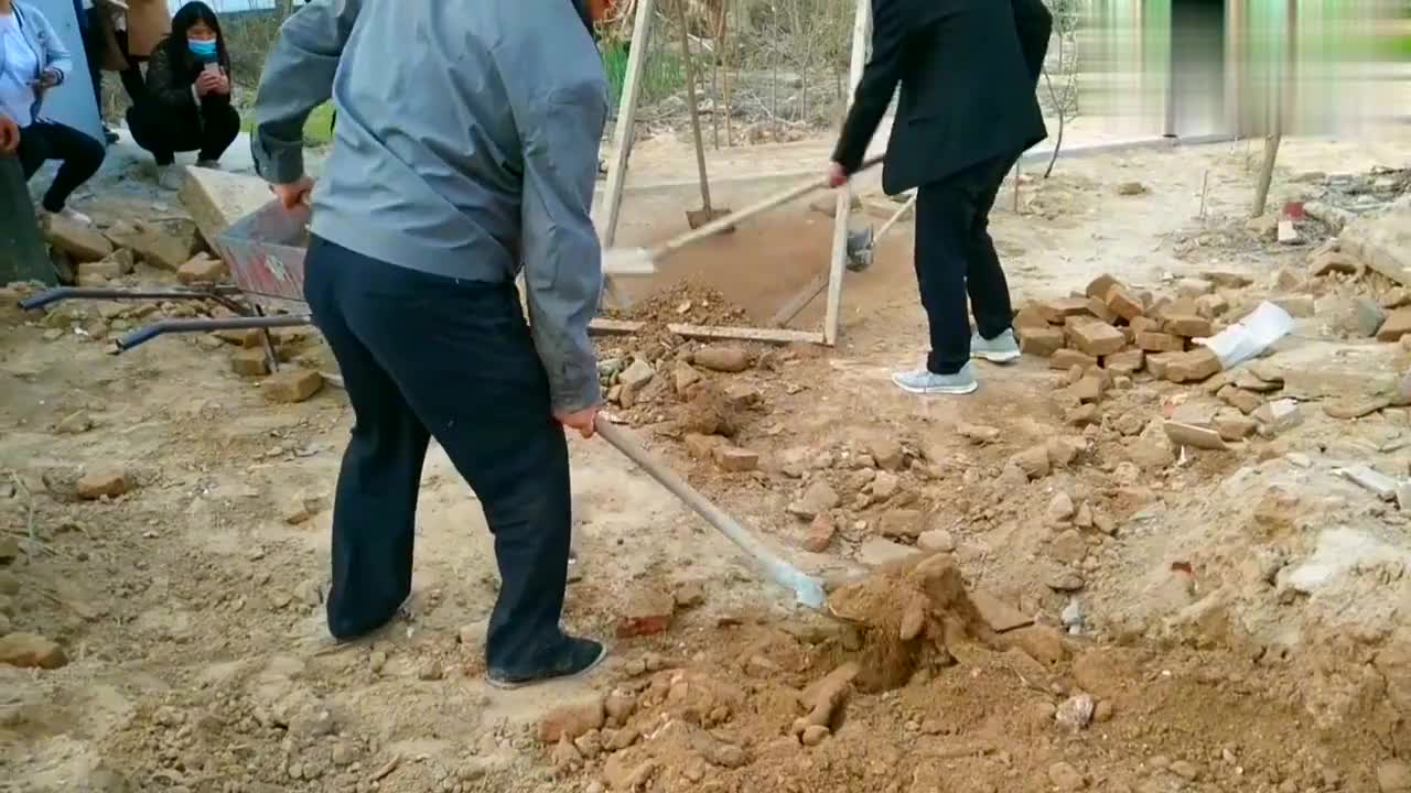 大衣哥朱之文铁锹铲土动作干净利落,大明星里面只有他会