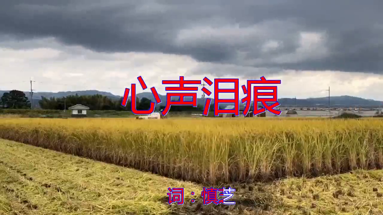 邓丽君的《心声泪痕》,歌声婉转悠扬,太经典了