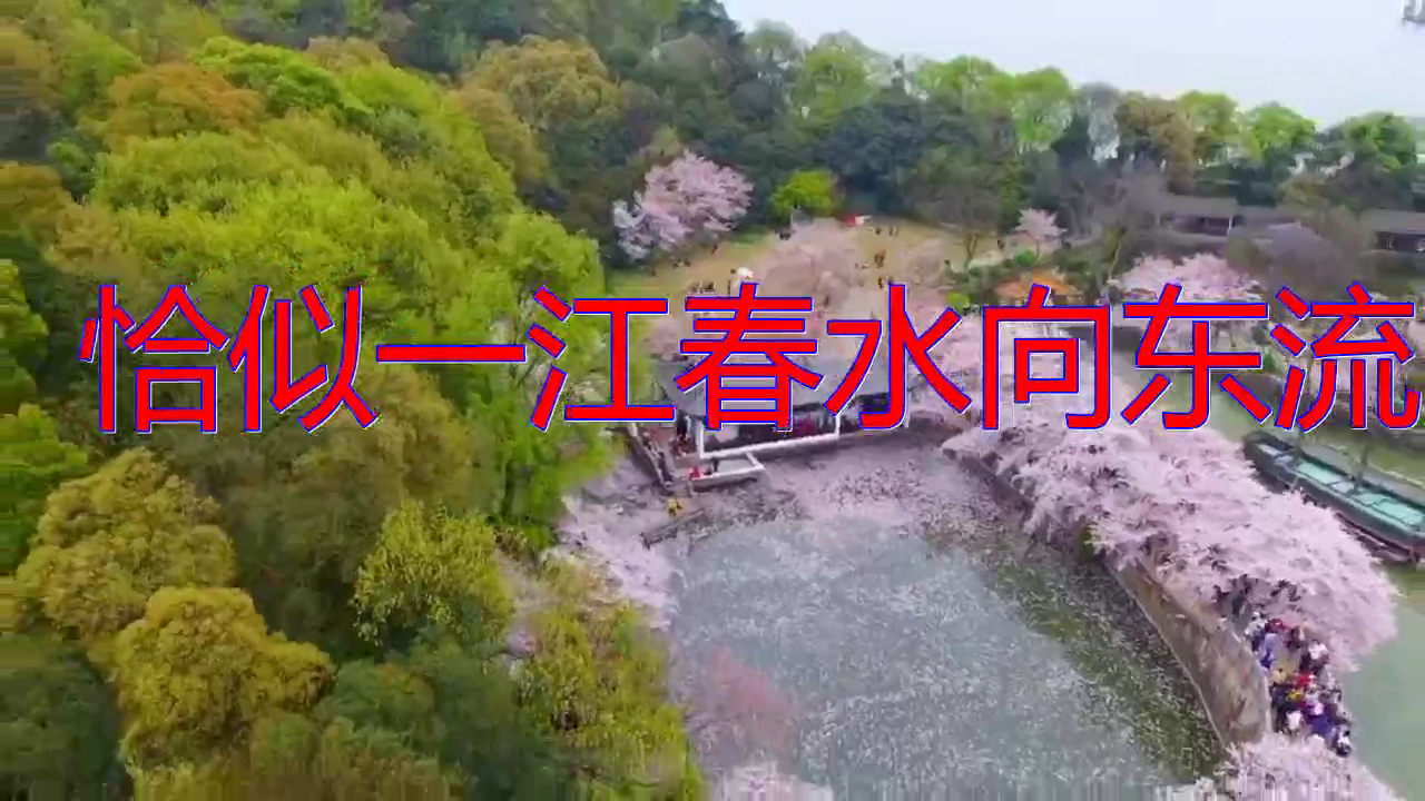 邓丽君的《恰似一江春水向东流》,鸾吟凤唱,余音切切