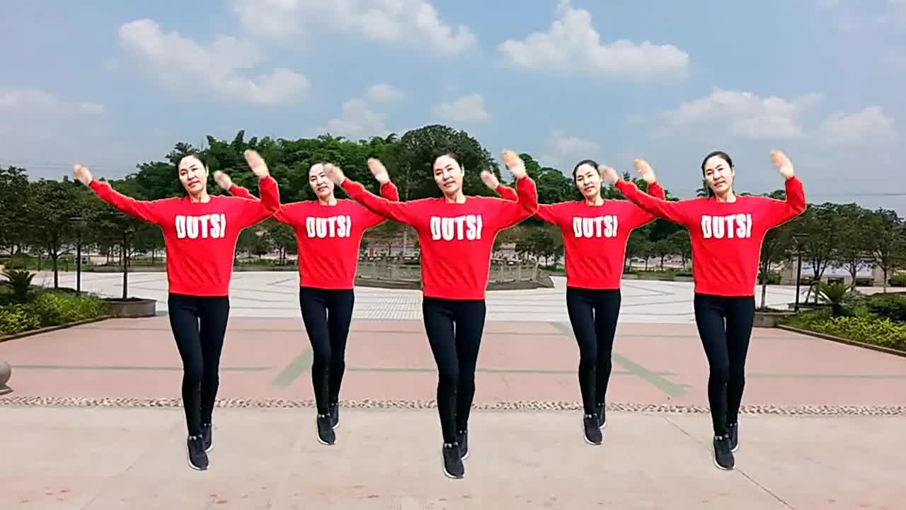 32步广场舞《真心真意把你陪》