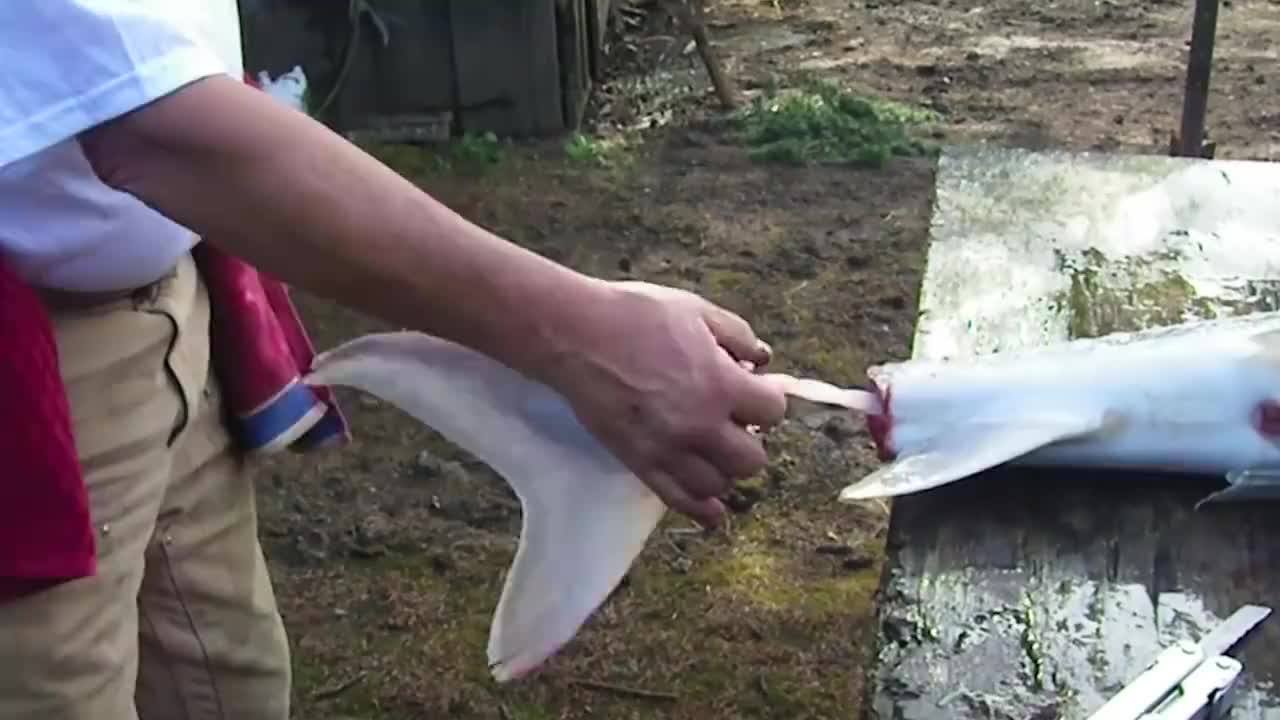 大厨现场表演"抽龙筋",直接抽出几米长的龙筋,一根价值连城!