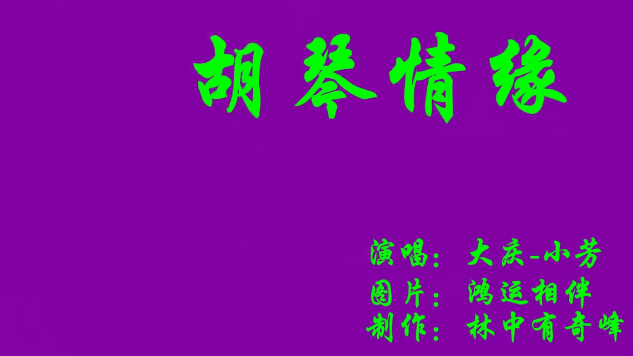 胡琴情缘歌曲好听