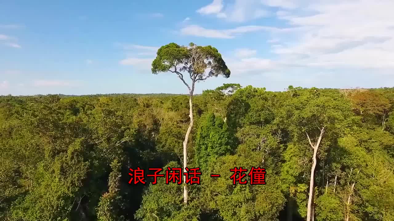 哈哈《花僮-浪子闲话》太好听了