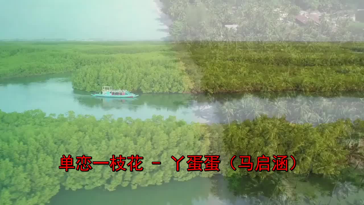 推荐一首《丫蛋蛋(马启涵)-单恋一枝花》特别好听,赞