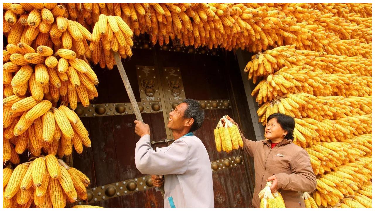 九月初一什么天气好?老祖宗的经验就是预兆!看看俗语怎么说?休闲区蓝鸢梦想 - Www.slyday.coM 九月初一什么天气好?老祖宗的经验就是预兆!看看俗语怎么说?休闲区蓝鸢梦想 - Www.slyday.coM