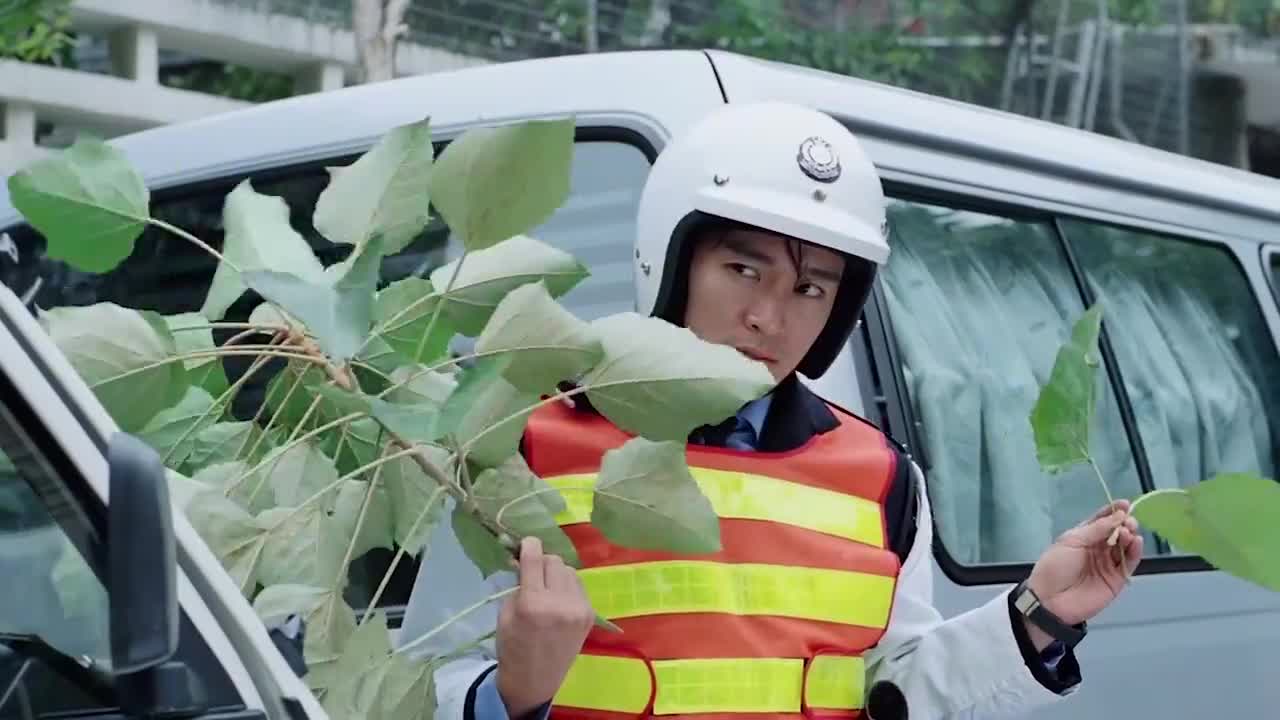 你们觉得呢?周星驰 喜剧 为您推荐: 九品芝