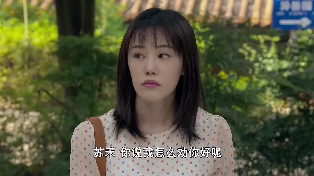 我的仨妈俩爸建华又劝苏禾放弃石英苏禾态度坚定的说不会放弃