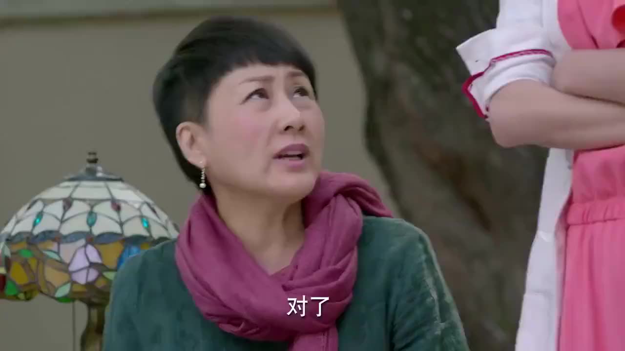 功夫婆媳说到要验dna他们就心慌了