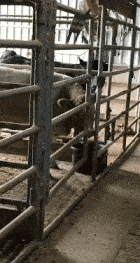 在女友的包里面找到了这样的药，请问是干什么用的啊？哈哈哈哈休闲区蓝鸢梦想 - Www.slyday.coM