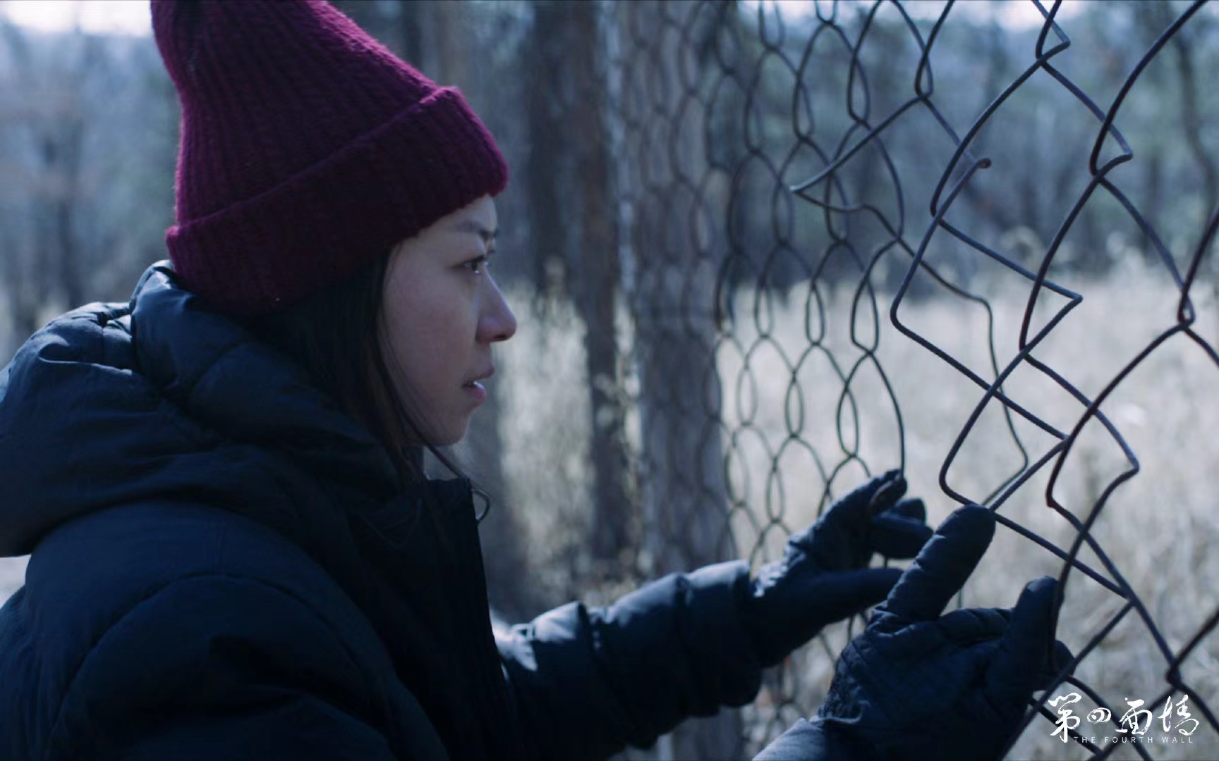 大碟震撼上线,现实幻境揭秘成长之殇|第四面墙|张翀|原声_新浪新闻